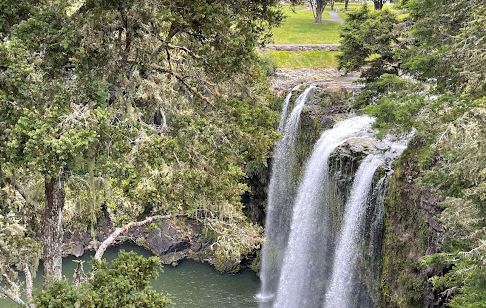 Whangarei Falls